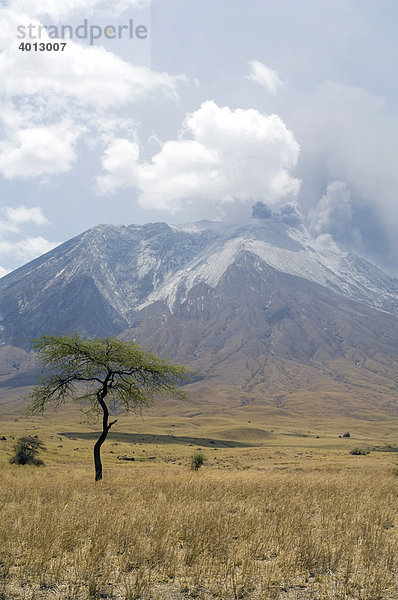 Ausbruch des Vulkans Ol Doinyo Lengai 2007  Tansania  Afrika