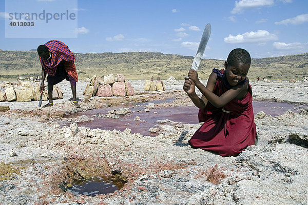 Sodaabbau  Maasai schlagen mit Hackmessern Sodaplatten aus dem Lake Natron  Tansania  Afrika