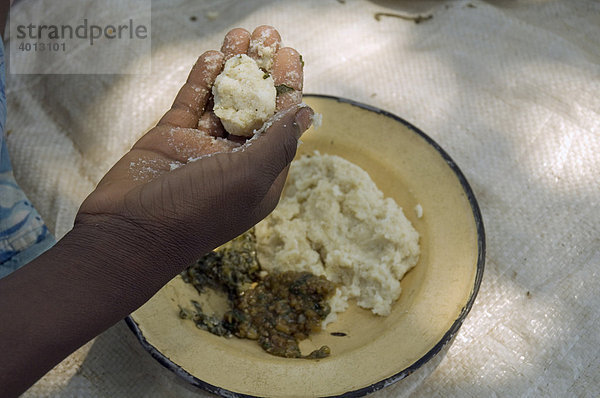 Maisbrei wird traditionell mit der Hand gegessen in Magoye  Mazabuka  Sambia  Afrika