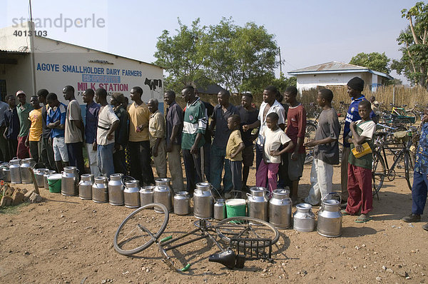 Kleinbauern liefern frische Milch an die Sammelstelle einer Genossenschaft in Magoye  Mazabuka  Sambia  Afrika