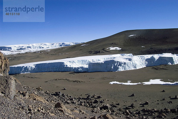 Furtwängler-Gletscher  Kilimanjaro  Tansania  Afrika