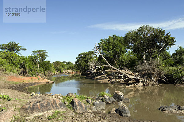 Der Grumeti Fluss  Westlicher Korridor  Serengeti  Tansania  Afrika