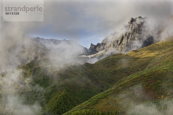 Wrangell St. Elias Nationalpark  Alaska  USA  Nordamerika  Amerika