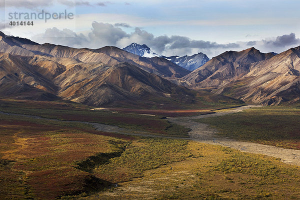 Alaska Range im Denali Nationalpark im Herbst  Alaska  Nordamerika  USA  Amerika