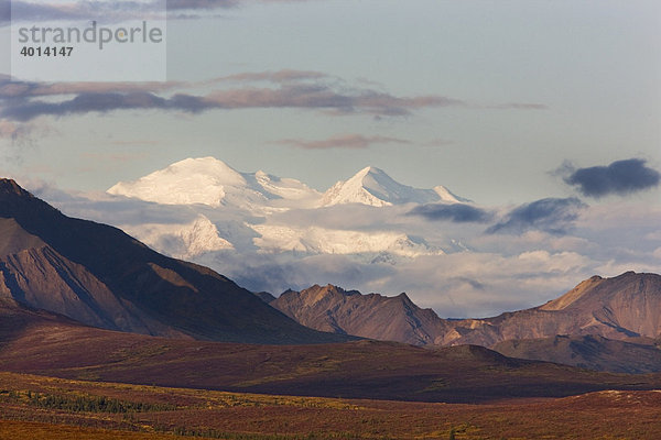 Mt. McKinley von der Denali Road im Herbst  Alaska  Nordamerika  USA  Amerika