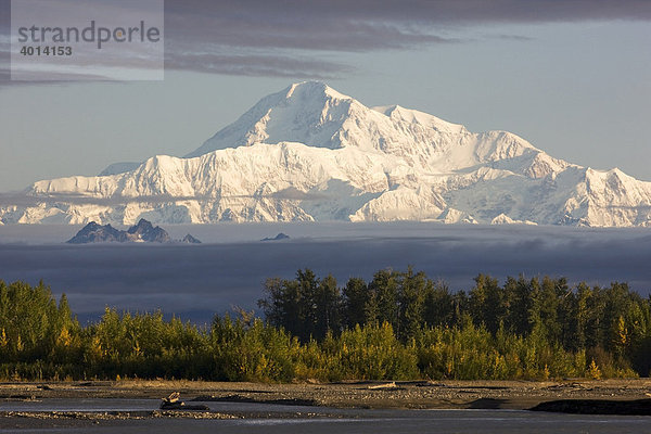 Mt. McKinley von der Denali Road im Herbst  Alaska  Nordamerika  USA  Amerika