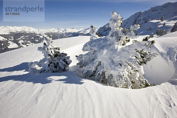 Tiefverschneite Berge  Nordtirol  Österreich  Europa