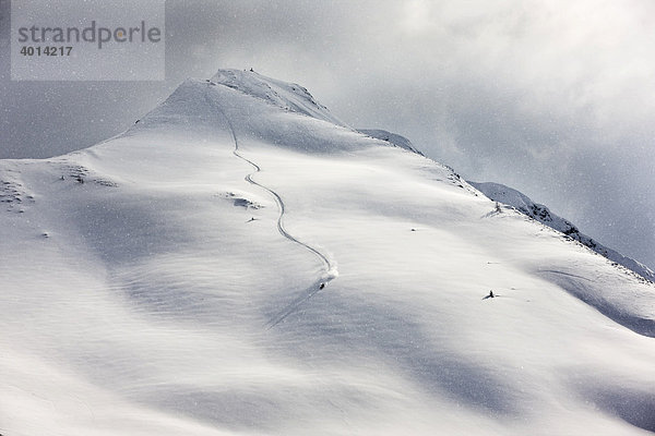 Freestyler im tiefverschneiten Gelände  Nordtirol  Österreich  Europa