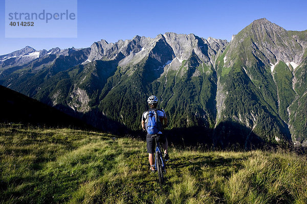 Mountainbiker  Nordtirol  Zillertaler Alpen  Mayerhofen  Österreich  Europa