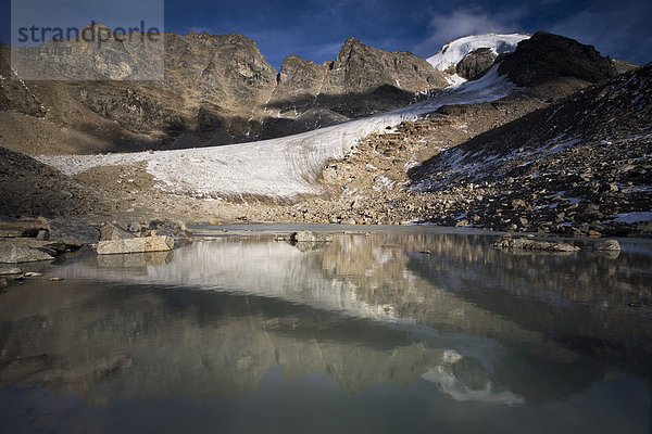 Die große Angelusspitze spiegelt sich in einem Gletschersee  Ortlergruppe  Nationalpark Stilfserjoch  Südtirol  Italien  Europa
