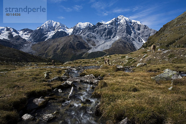 Gebirgsbach  Ortlergruppe  Nationalpark Stilfserjoch  Südtirol  Italien  Europa