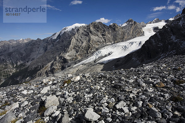 Madatschferner  Nationalpark Stilfserjoch  Südtirol  Italien  Europa