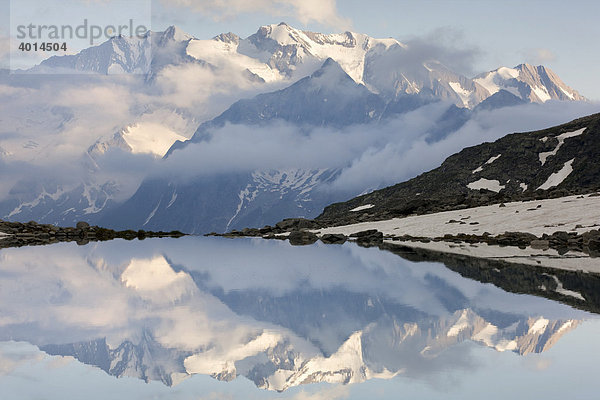 Hochfeiler spiegelt sich im Friesenbergsee  Zillertaler Alpen  Tirol  Österreich  Europa