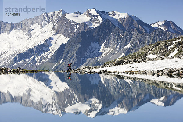 Hochfeiler spiegelt sich im Friesenbergsee  Wanderer  Zillertaler Alpen  Tirol  Österreich  Europa