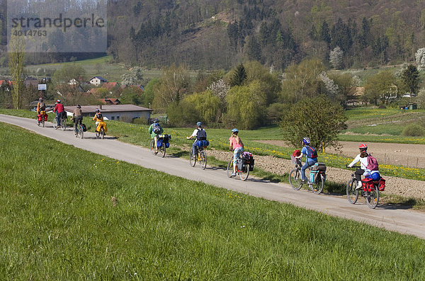 Gruppe Radfahrer  Bodensee  bei Bodmann  Baden-Württemberg  Deutschland