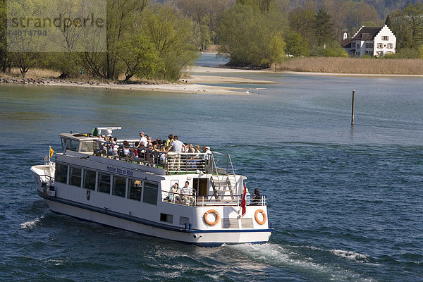 Ausflugsschiff auf dem Rhein  Blick zur Insel Werd  Stein am Rhein  Bodensee  Kanton Schaffhausen  Schweiz