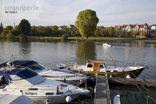 Sportboote am Neckarufer  Blick über Fluss Neckar zum Stadtteil Neuenheim  Heidelberg  Baden-Württemberg  Deutschland