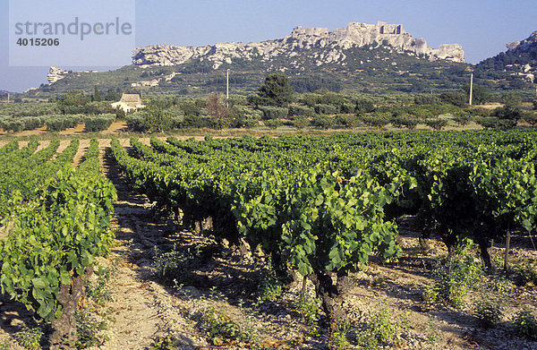 Weinbau bei Les Baux  Provence  Frankreich  Europa