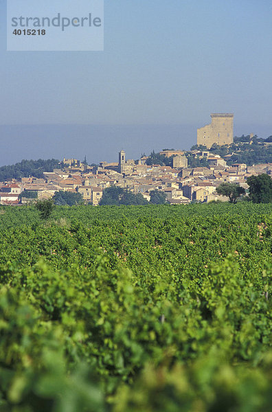 Weinberg  Weinbau  berühmter Weinort Chateauneuf du Pape  Provence  Frankreich  Europa