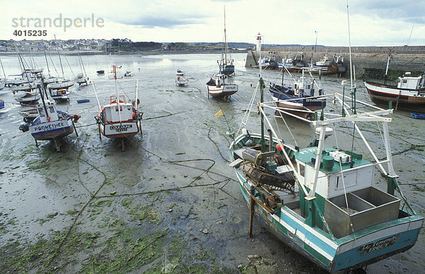 Fischerboote im Hafen bei Ebbe  Fischkutter  Fischerei  Fischereiwirtschaft  Erquy  Bretagne  Frankreich  Europa