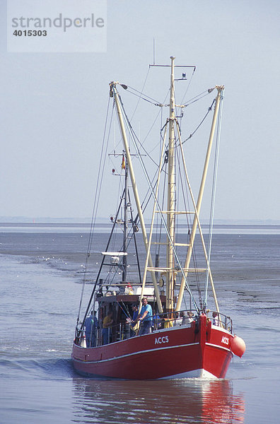 Fischkutter bei Dornumersiel  Fischereiwirtschaft  Nordsee  Nordseeküste  Niedersachsen  Deutschland  Europa