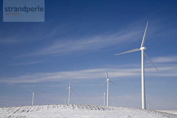 Der Noble Thumb Windpark  betrieben von John Deere Wind Energy  Ubly  Michigan  USA