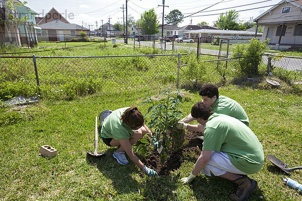 Freiwillige von der High School pflanzen Bäume im Lower Ninth Ward Stadtviertel  welches von Hurricane Katrina verwüstet wurde  New Orleans  Louisiana  USA