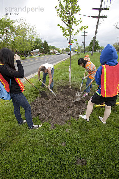Freiwillige der Han-Bit Korean Christian Reformed Church Kirchengemeinde pflanzen entlang des Spielplatzes einer Schule Bäume ein  Detroit  Michigan  USA