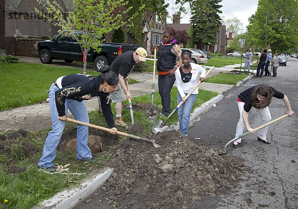 Freiwillige pflanzen im East English Village Stadtteil Bäume ein  Detroit  Michigan  USA
