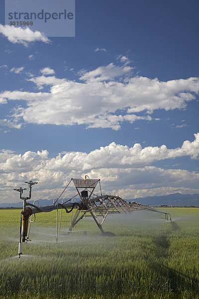 Ein Beregnungs-Bewässerungssystem bewässert ein Feld in der Hochwüste des San Luis Valley  Alamosa  Colorado  USA
