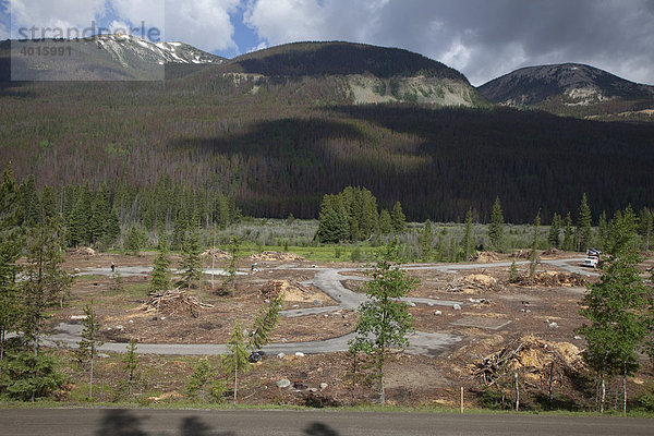 Die Park Service Behörde hat die meisten Bäume am der Timber Creek Campingplatz gefällt  weil sie nach einem Befall mit Bergkiefernkäfern abgestorben waren  Rocky Mountain National Park  Colorado  USA