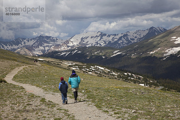 Wanderer auf dem Ute Trail Wanderweg  in der alpinen Tundra  Rocky Mountain National Park  Colorado  USA