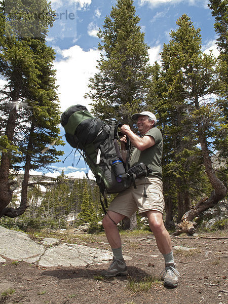 John West  62  hebt einen schweren Rucksack während eines Rucksackurlaubs im Gebiet der Missouri Seen in der Holy Cross Wilderness  White River National Forest  Colorado  USA
