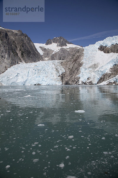 Northwestern Glacier Gletscher fliesst in den Northwestern Fjord im Kenai Fjords National Park  Seward  Alaska  USA