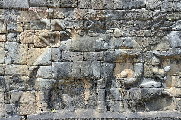 Relief eines Elefanten  Terrasse der Elefanten  Angkor  Kambodscha  Asien