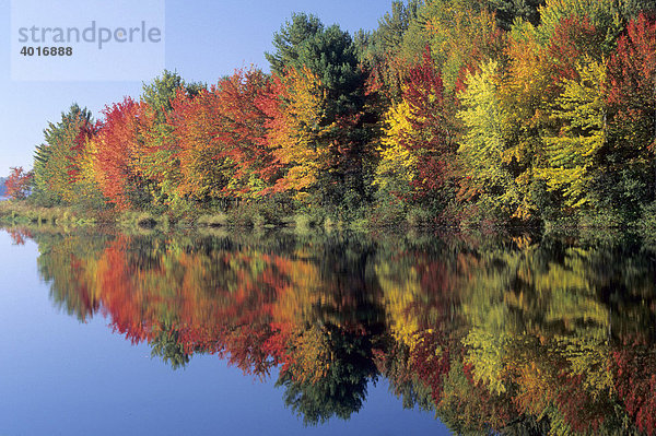Herbstliche Spiegelung im See  Vermont  USA