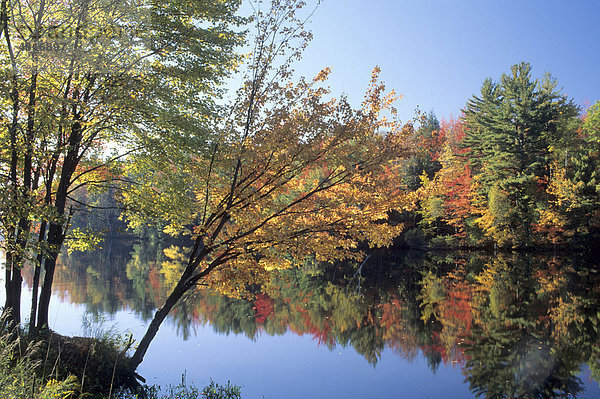 Herbst an einem See in Vermont  USA