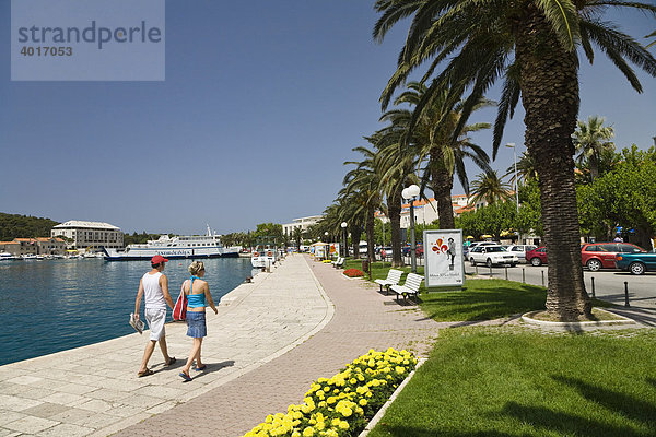 Uferpromenade mit Palmen  Makarska  Dalmatien  Kroatien  Adria  Mittelmeer  Europa