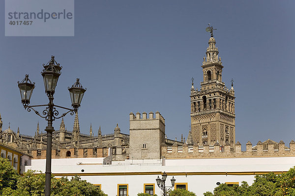 Glockenturm Giralda  Kathedrale  Sevilla  Andalusien  Spanien  Europa