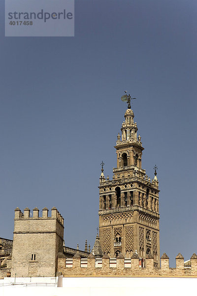 Glockenturm Giralda  Kathedrale  Sevilla  Andalusien  Spanien  Europa
