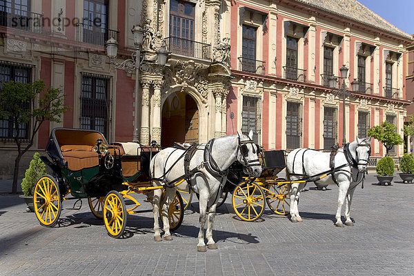 Pferdekutschen  Bischofspalast  Barrio Santa Cruz  Sevilla  Andalusien  Spanien  Europa