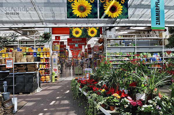 Blumenabteilung  moderner Großmarkt bei München  Bayern  Deutschland  Europa