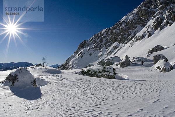 Skitour auf das Stadelfeld im Nationalpark Gesäuse  Steiermark  Österreich  Europa