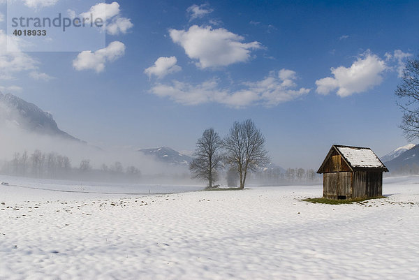 Nebelstimmung  Nationalpark Gesäuse  Steiermark  Österreich  Europa