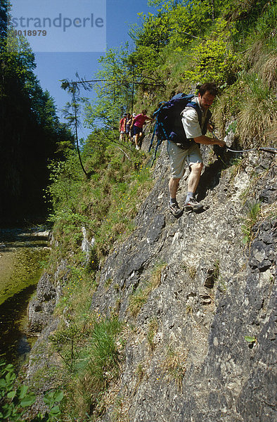 Triftsteig  Nationalpark Kalkalpen  Oberösterreich  Österreich  Europa
