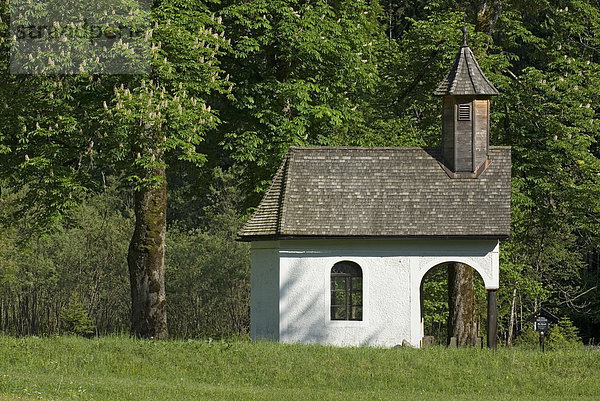 Kapelle im Bodinggraben  Nationalpark Kalkalpen  Oberösterreich  Österreich  Europa
