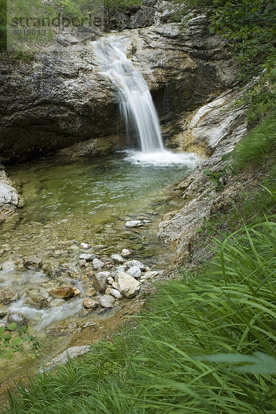 Wasserfall im Joerglgraben  Nationalpark Kalkalpen  Oberösterreich  Österreich  Europa