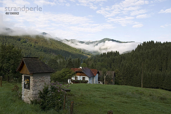 Voralpen mit Nebel  Nationalpark Kalkalpen  Oberösterreich  Österreich  Europa