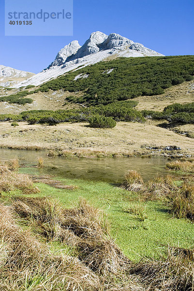 Hochmöbling  Wörschach  Steiermark  Österreich  Europa