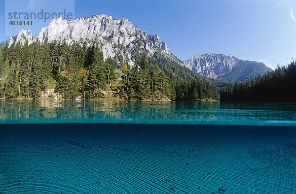 Halb und Halb Aufnahme im Grünen See  hinten die Pribitz im Hochschwab  Tragöss  Steiermark  Österreich  Europa